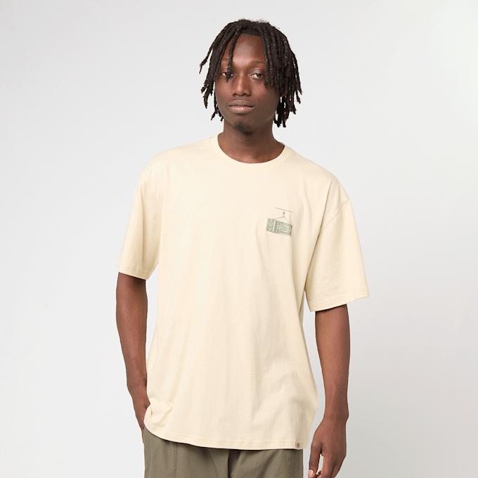 Dickies Apison Shortsleeve Tee beige 49003 2