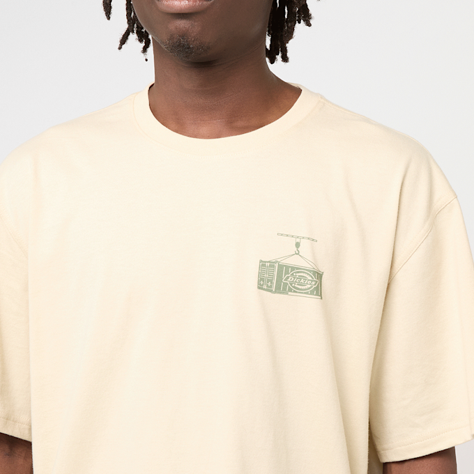 Dickies Apison Shortsleeve Tee beige 49003 3