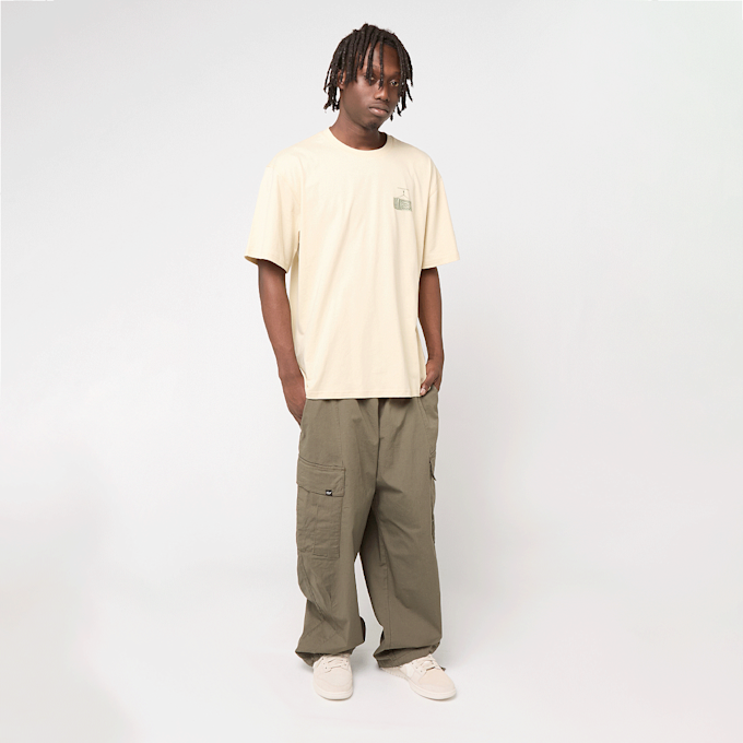 Dickies Apison Shortsleeve Tee bege 49003 4
