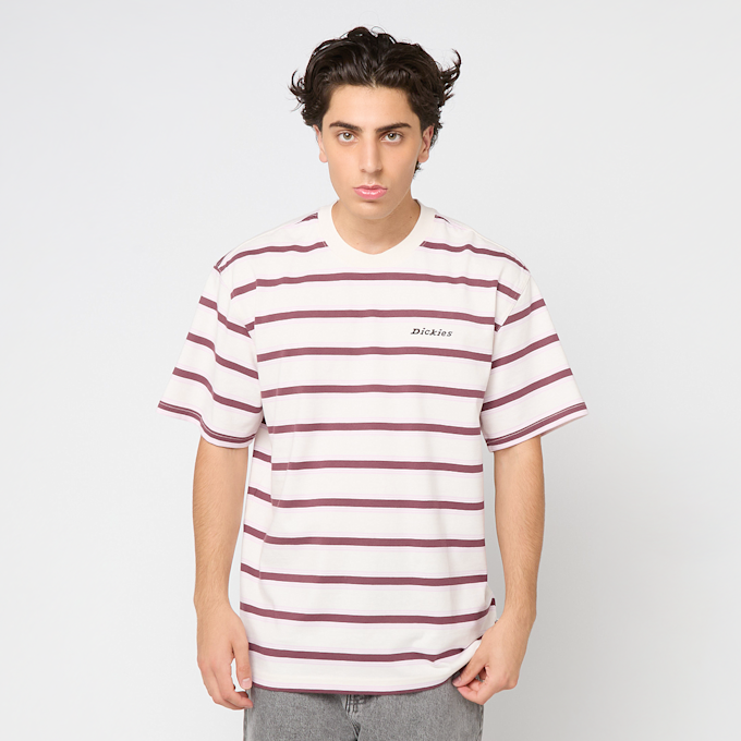 Dickies YORK STRIPE TEE SS egret beige 49019 1