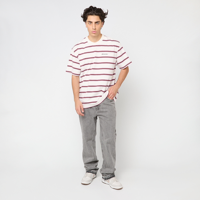 Dickies YORK STRIPE TEE SS egret beige 49019 4