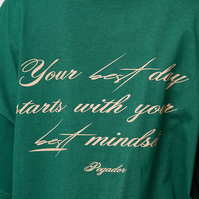 Pegador Felin Heavy Oversized Tee verde 49824 4