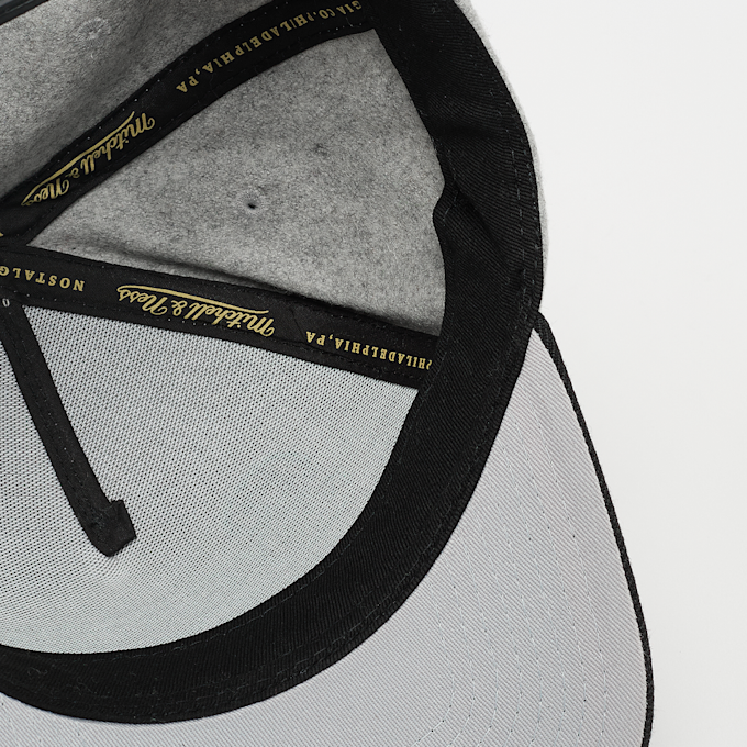 Mitchell & Ness Tailsweeps Pro Snapback NBA San Antonio Spurs cinzento 92331 3