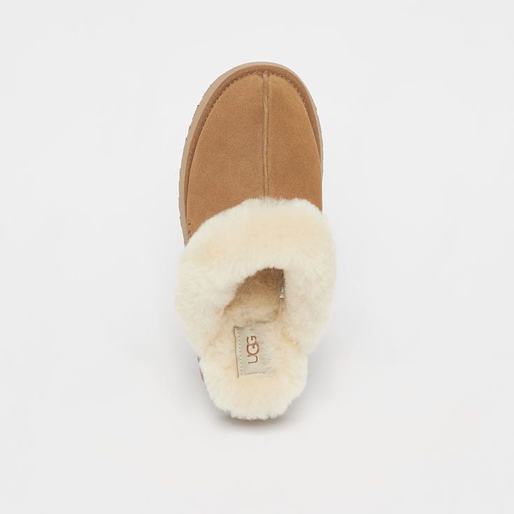 UGG W Disquette braun (1122550-CHE)