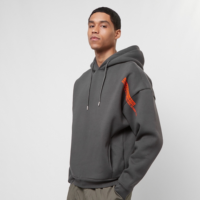 Alpha Industries Flock Logo Hoody grigio 31772 1