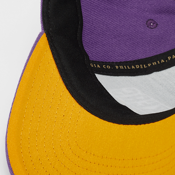 Mitchell & Ness Motor Pro Crown NBA Los Angeles Lakers viola 44773 4