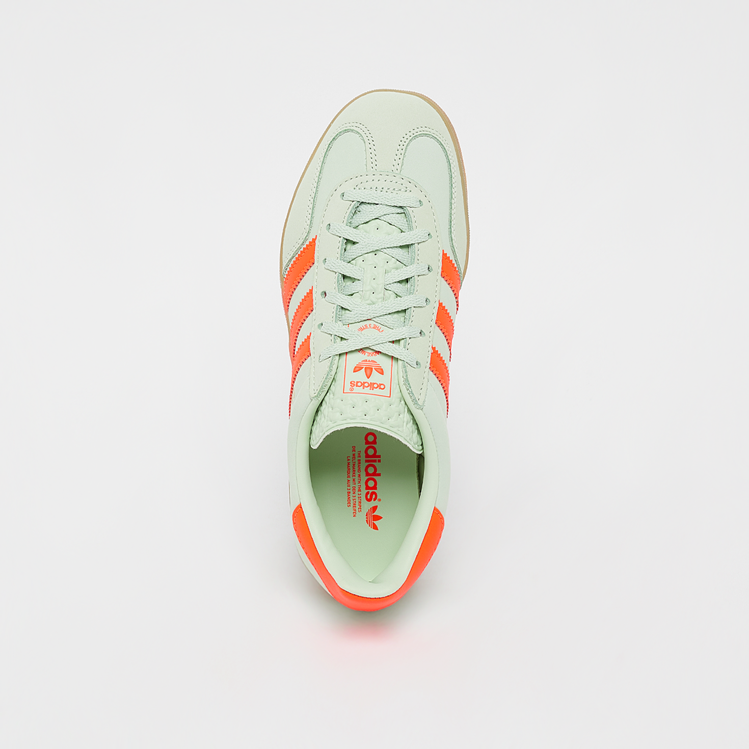 Gazelle Indoor W