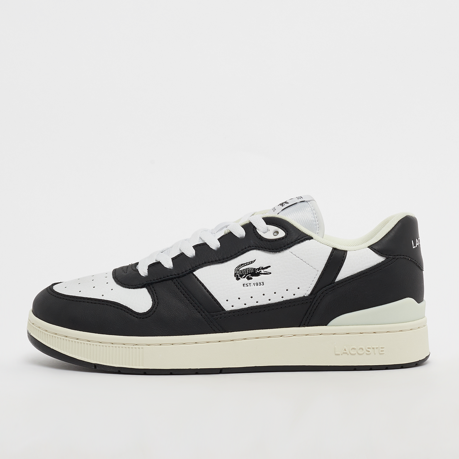 Lacoste snipes online