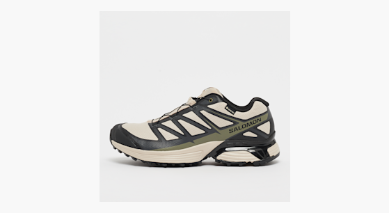 Salomon XT Pathway Gore Tex grau kaufen