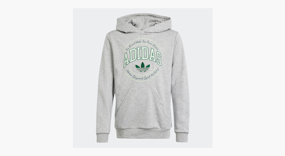 Sweat à Capuche Femme Superdry Varsity Gris Pailleté - Taille UK S - Cordon