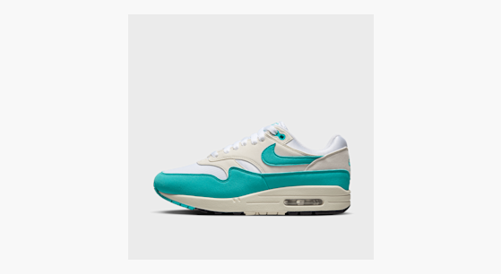 Nike WMNS Air Max 1 multicolor kaufen