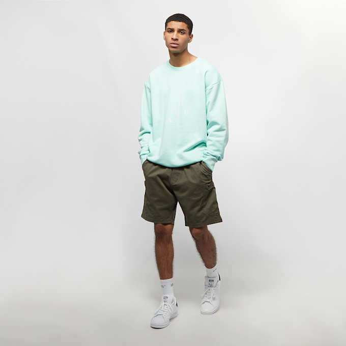 Reell Reflex Easy Cargo Short zielony 929 5