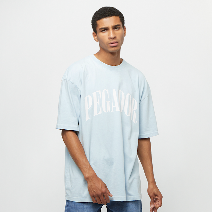 Pegador 01976253 niebieski 2570 1