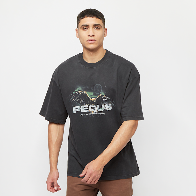 PEQUS 02024253 UndefinedColor 6917 1