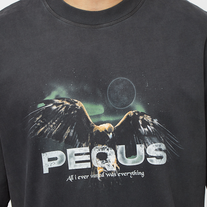 PEQUS 02024253 UndefinedColor 6917 3