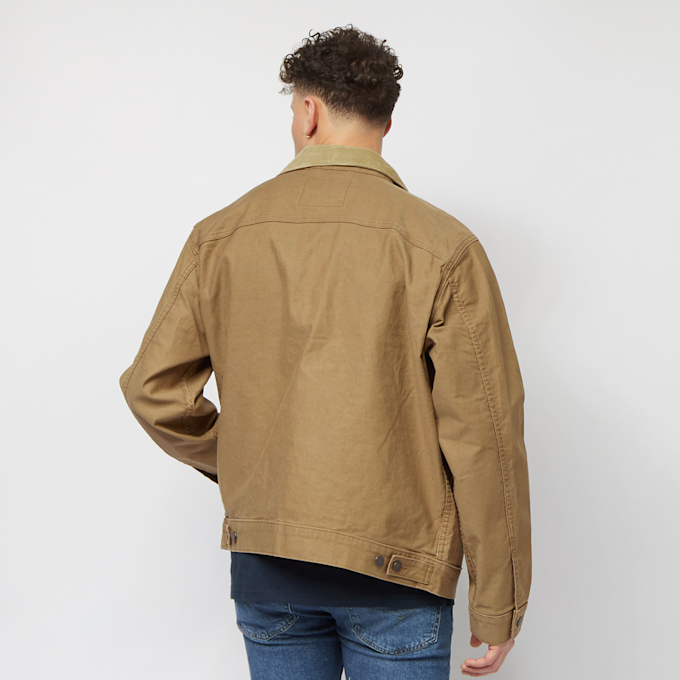 Levi's 02033509 braun 8388 2