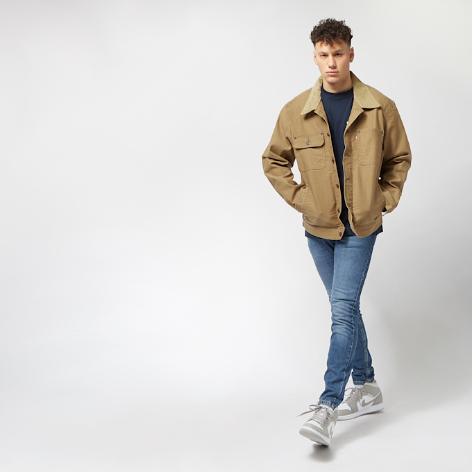 Levi's 02033509 braun 8388 5