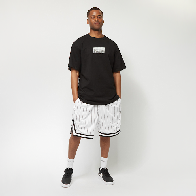 Karl Kani Small Signature Pinstripe Mesh Shorts blanc 9778 4