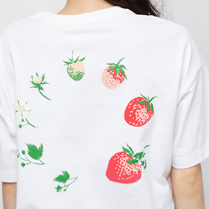 Converse 02069262 bijela 11063 5