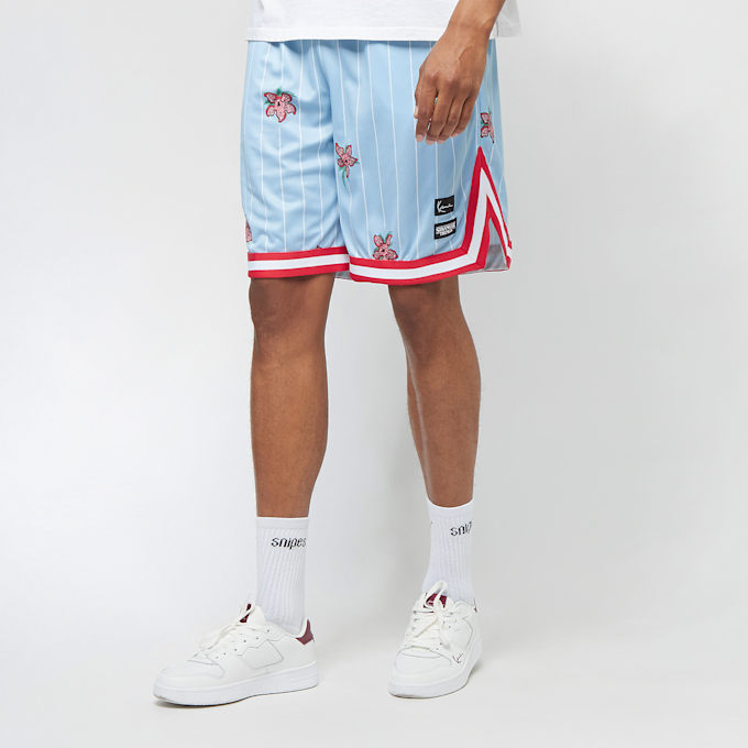 Karl Kani KK Woven Signature Pinstripe Mesh Shorts light blue blau 12973 1