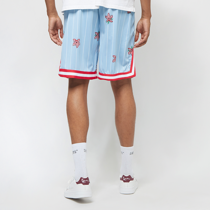 Karl Kani KK Woven Signature Pinstripe Mesh Shorts light blue niebieski 12973 2