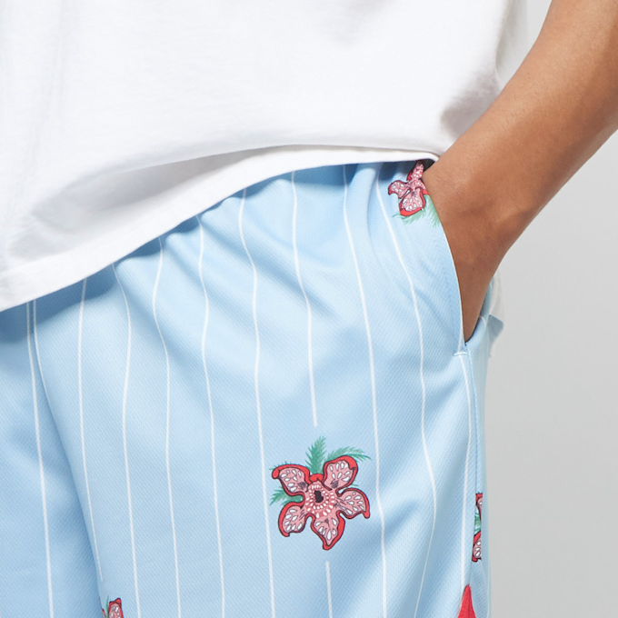 Karl Kani KK Woven Signature Pinstripe Mesh Shorts light blue blauw 12973 3