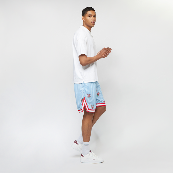 Karl Kani KK Woven Signature Pinstripe Mesh Shorts light blue niebieski 12973 5