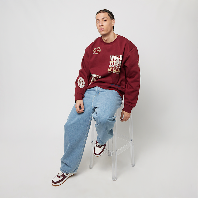 Carhartt WIP Brandon Pant blau 17015 5