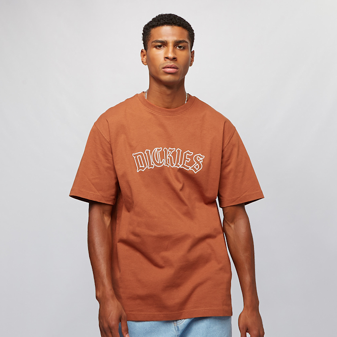 Dickies Union Springs Tee Ss castanho 17306 1