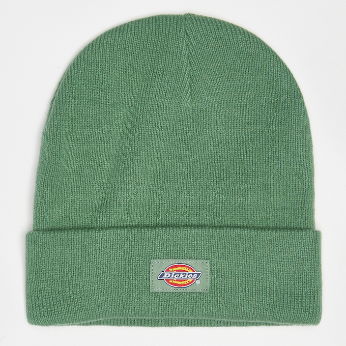 Dickies Gibsland Beanie verde 17344 1