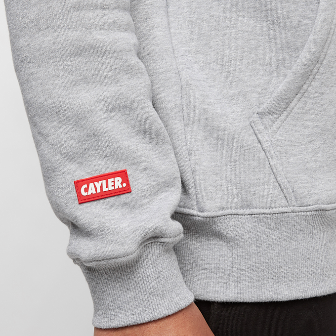 Lacoste Core Essentials Hoodie brun 18009 5