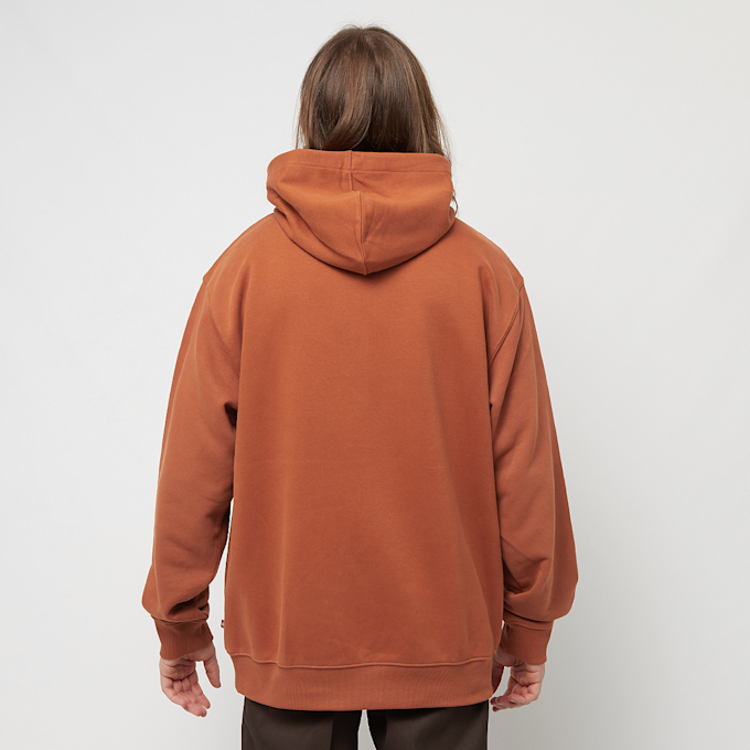 Dickies UNIONTOWN HOODIE  Uniontown  Hoodie verde 13015 2