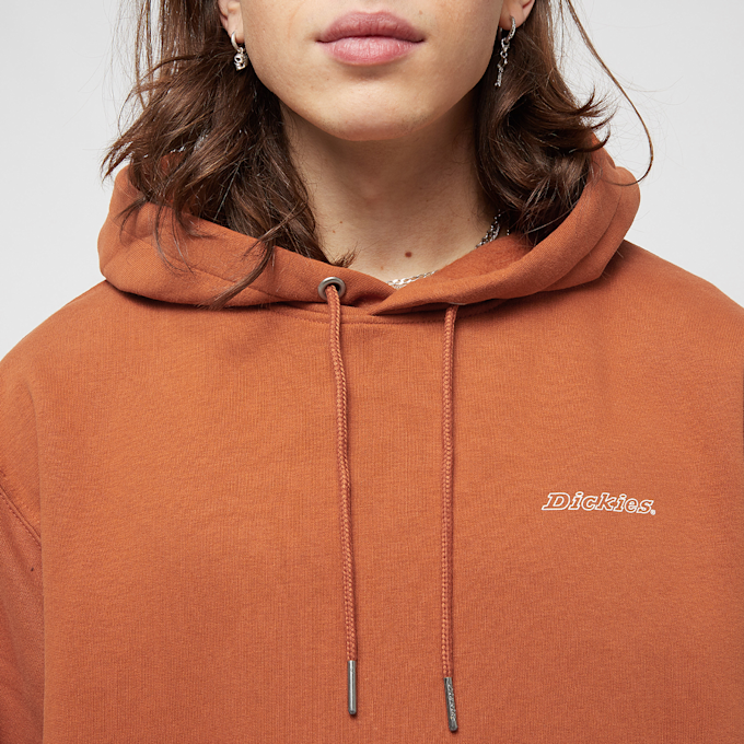 Dickies UNIONTOWN HOODIE  Uniontown  Hoodie verde 13015 3