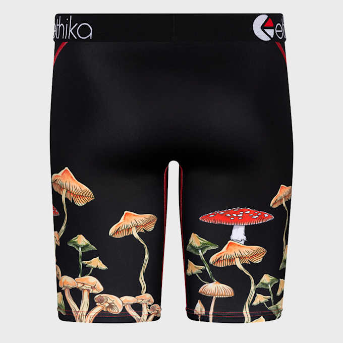 Ethika Dreamscapes Bottom multicolorido 13707 3