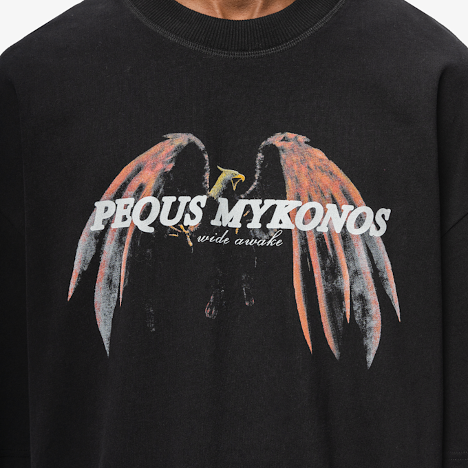 PEQUS Wide Awake Graphic T-Shirt noir 15362 3