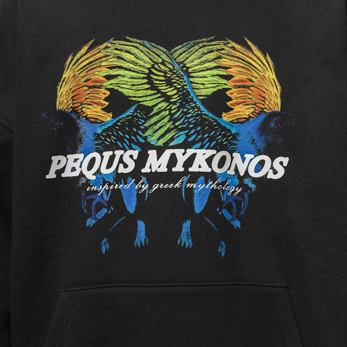 PEQUS Griffin Hoodie negro 15372 3