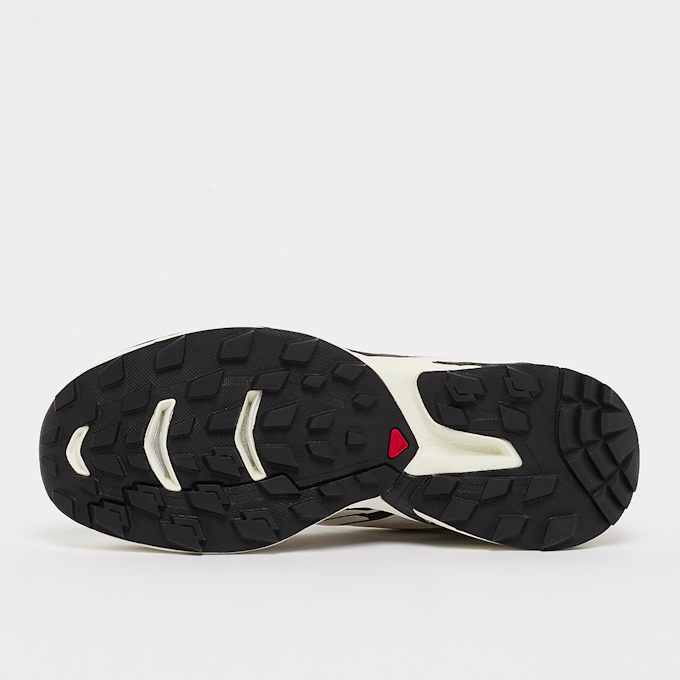 Salomon XT-Wings 2 rose 20521 4