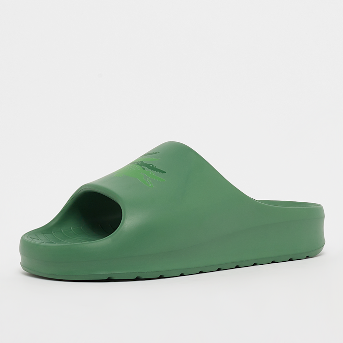 Lacoste Croco 2.0 EVO 123 1 CMA vert 22205 2