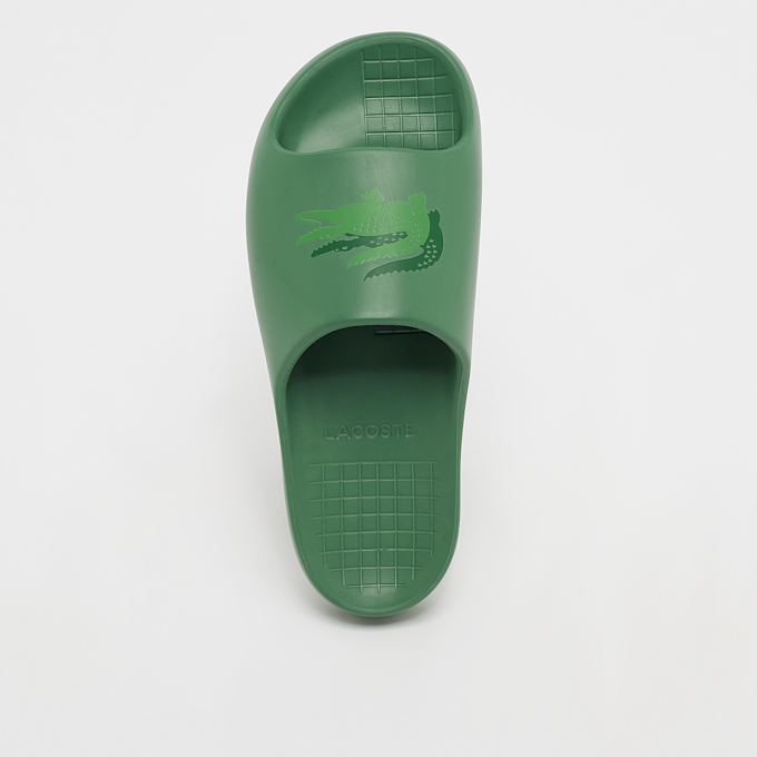 Lacoste Croco 2.0 EVO 123 1 CMA zelena 22205 5