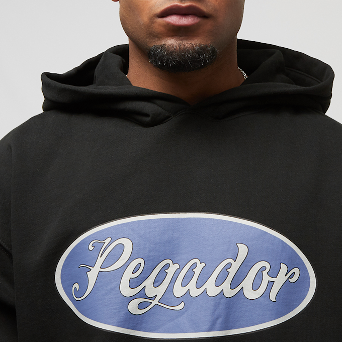 Pegador West Oversized Hoodie Vintage roze 22447 3
