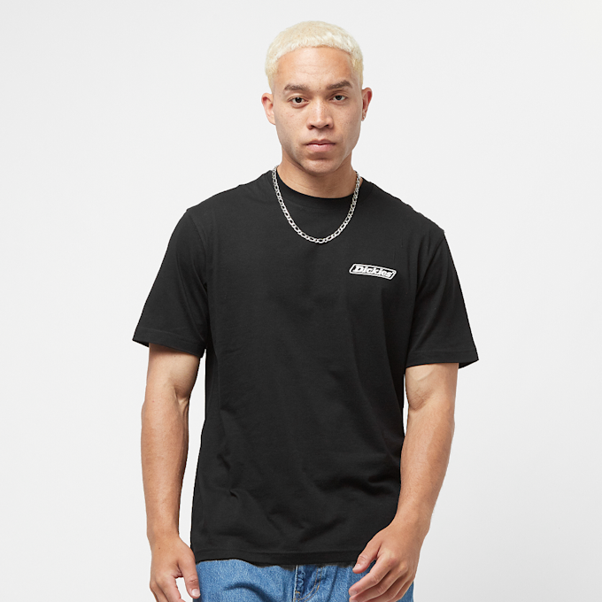 Dickies Roseburg Box Shortsleeve Tee nero 22465 1