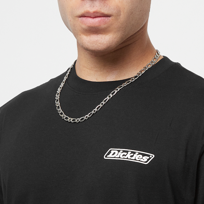 Dickies Roseburg Box Shortsleeve Tee noir 22465 3