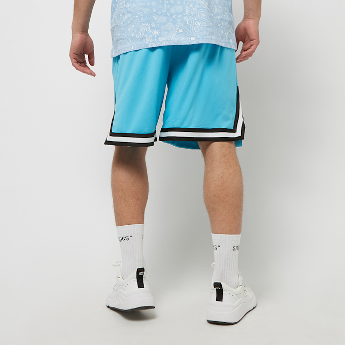 Karl Kani Small Signature Essential Mesh Shorts azul 22727 2