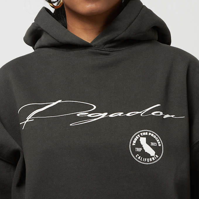 Pegador Miller Oversized Hoodie Vintage Washed grijs 22805 3