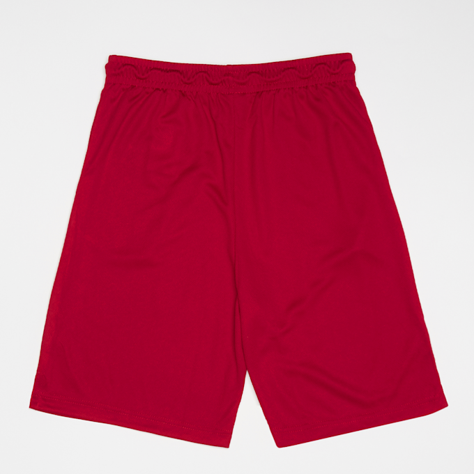 Jordan Essentials Graphic Mesh Short rood 19930 2