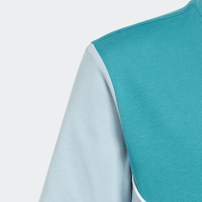 adidas Originals adicolor Next T-Shirt crna 26342 4