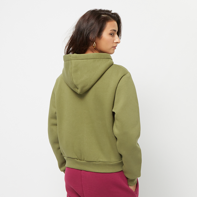 Karl Kani Chest Signature Essential Zip Hoodie grün 26761 2