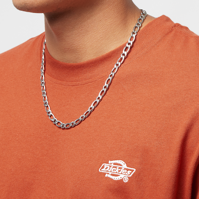 Dickies Summerdale Tee Ss arancione 26867 3