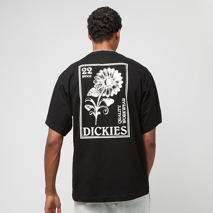 Dickies Garden Plain Tee Short Sleeve nero 26869 1