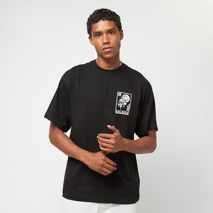 Dickies Garden Plain Tee Short Sleeve nero 26869 2
